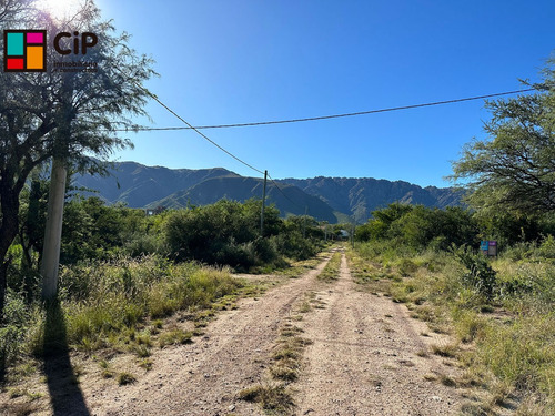 Venta De Lotes Céntricos En Cortaderas