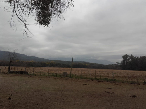 Imagen 5 de 10 de Terreno Venta La Arbolada San Lorenzo Chico 1000 M