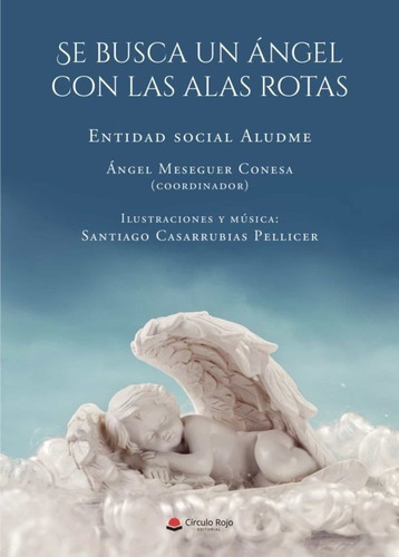 Libro Se Busca Un Angel Con Las Alas Rotas