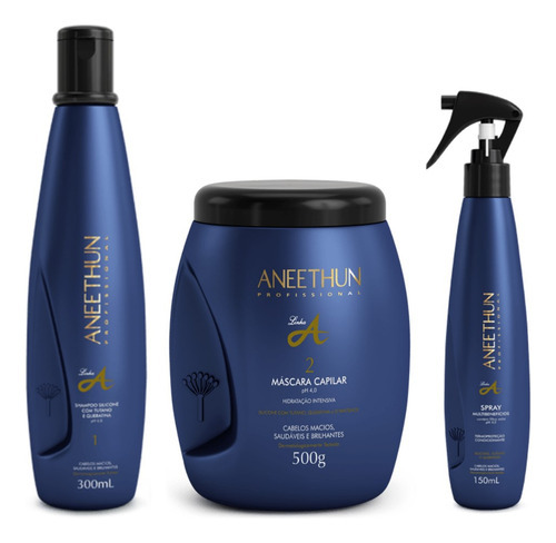 Kit Aneethun Linha A Sh 300ml + Mask 500g + Spray 150ml