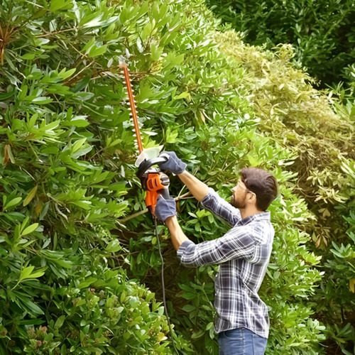 Aparador De Cerca Viva 22 500w Black&decker