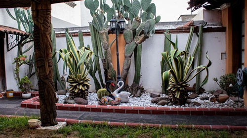 Vendo Casa En Tejeda De Estilo Mexicano Contemporáneo, Terre