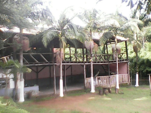 Imagem 1 de 20 de Chacara - Ch00014 - 34330924