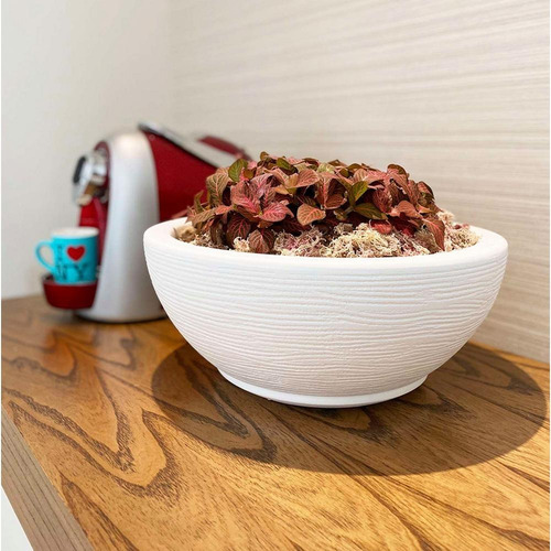 Imagen 4 de 8 de Maceta Plástico Bowl Premium 30x13 Cm Simil Piedra + Plato