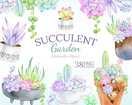 Kit Imagenes Png Cliparts Suculentas Flores Plantas Acuarela