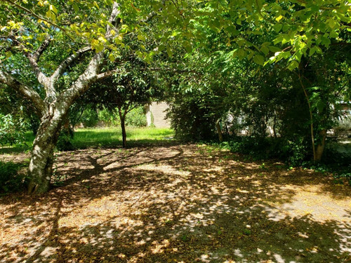 Imagen 6 de 14 de Casa En Venta En Puerto Conchillas.