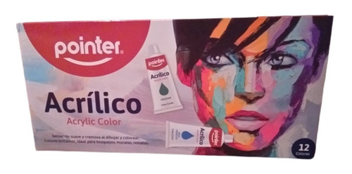 Pintura Acrilica Pointer X 12 Colores