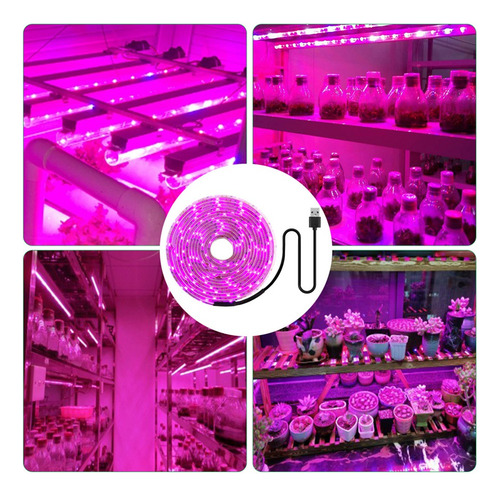 Tira De Luces Led De Cultivo Usb De Espectro Completo De 5 V