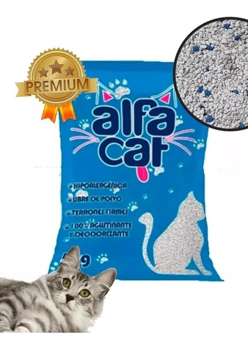 Arena Alfa Cat 