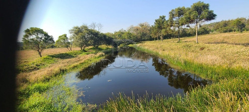 Imagem 2 de 15 de Sitio - Coqueiros - Ref: 26160 - V-26160