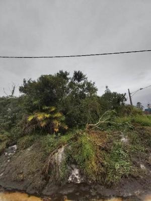 Imagem 4 de 4 de Ótimo Terreno Na Praia Com 268m², Em Itanhaém/sp | 5051