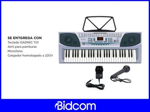 Teclado Organo Electronico Musical Instrumento 54 Teclas Color Gris 110V/220V