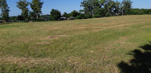Imagen 4 de 6 de En Venta!! Campo Ideal Para Loteo!