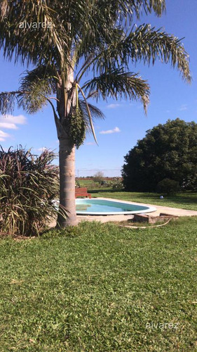 Imagen 7 de 14 de Venta Finca Uruguay