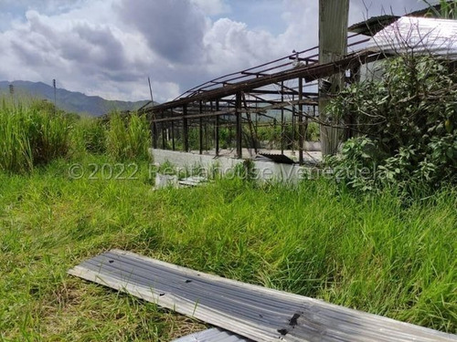 Imagen 13 de 20 de Finca Avicola En Venta Bejuma Carabobo