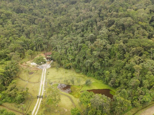 Imagem 11 de 15 de Chácara Venda Ubatuba - Sp - Bairro Cambuca - 2632
