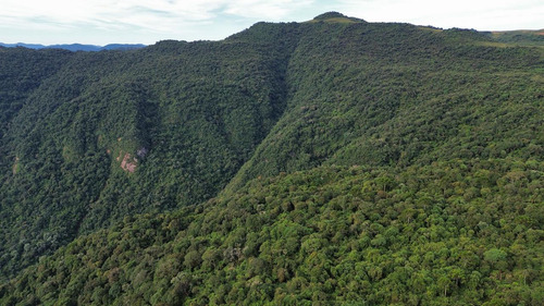 Oportunidade! 2 Hectares A Partir De R$ 99.000,00