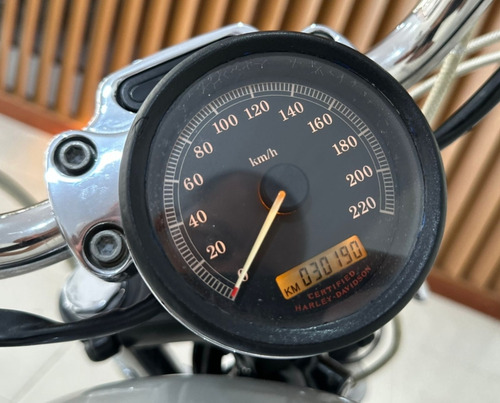 Harley Davidson Xl 883 Custom.