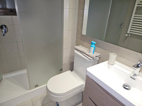 Departamento En Exclusivo Condominio Parque Pinares, Pucón
