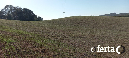 Imagem 2 de 15 de Chacara - Mariental - Ref: 900 - V-900