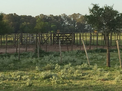 Imagen 22 de 23 de Campo En Venta En Lobos