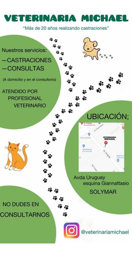 Imagen 4 de 4 de Castraciones A Domicilio En Móvil Profesional Veterinario