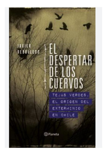 El Despertar De Los Cuervos