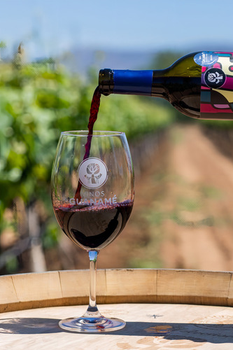 Vino Tinto Guanamé Syrah 750 Ml