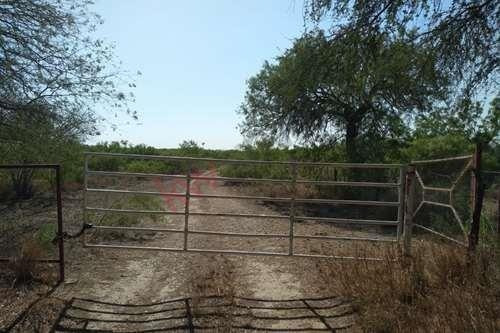 Imagen 12 de 15 de Terreno Venta Laguna Salinillas