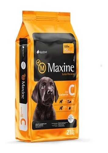 Maxine Cachorro 21 Kg Envío Gratisrazas Mascotas 