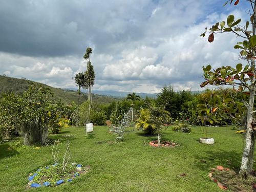 Venta De Lote En Pavitas - La Cumbre Valle Del Cauca