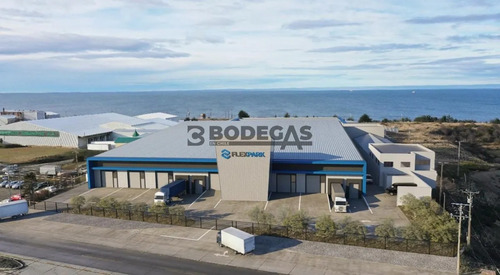 Arriendo Bodega De 2.300m2 Punta Arenas - Ruta 9 Norte