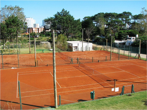 Imagen 6 de 7 de Apartamento En Roosevelt - Punta Del Este