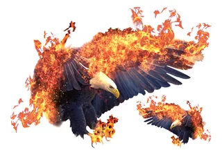  Adhesivo Mural Extraíble Eagle Flame