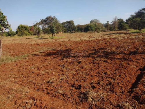 Imagem 3 de 6 de Venda De Rural / Chácara Na Cidade De Araraquara 11340