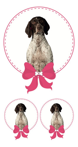 Sticker Mascota Braco De Weimar Niña 3 Pza Para Personalizar