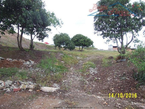 Imagem 8 de 9 de Terreno No Bairro Paulicéia - São Bernardo Do Campo/sp - 2311