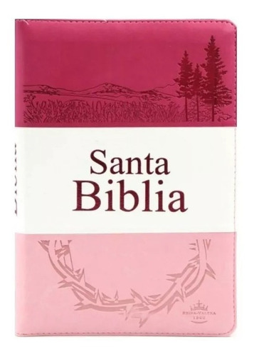 Santa  Biblia  Con Concordancia  Espanhol Rosa Ziper