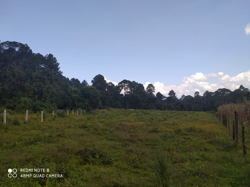 Terreno En Cuadrilla De Dolores