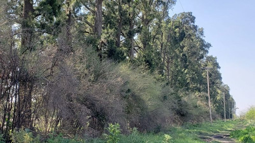 Imagen 2 de 3 de Campo En Venta En Merlo