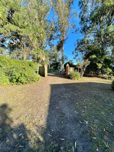 Imagen 17 de 30 de Casa Quinta Sobre Lote De 5.000 M2 La Gloria De La Peregrina