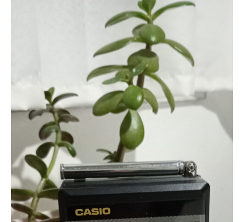 Tv De Bolsillo Casio Lcd Color, A Pilas (Usado)
