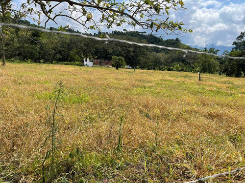 Imagen 22 de 30 de Espectacular Finca Clima Caliente En Venta Porce