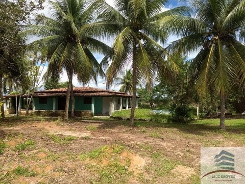 Imagem 6 de 10 de Granja A Venda Em Macaíba