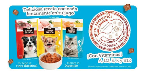 Alimento Para Perro Carne Fresca Puppy Care 4 Kg Cachorros