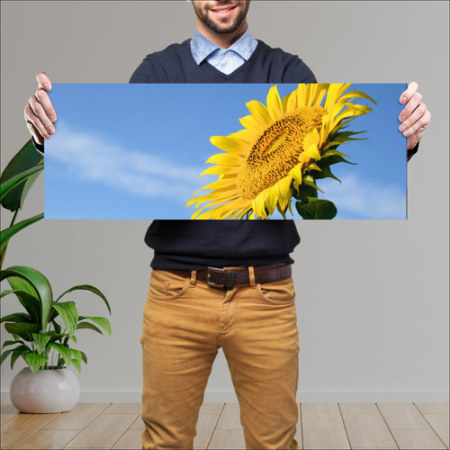 Cuadro Grande 30x80 Cm Paisajes Girasol Con Cielo De Fondo