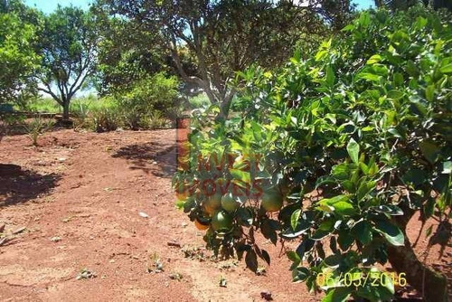 Imagem 5 de 8 de Terreno - Ref: 1223 - V-1223