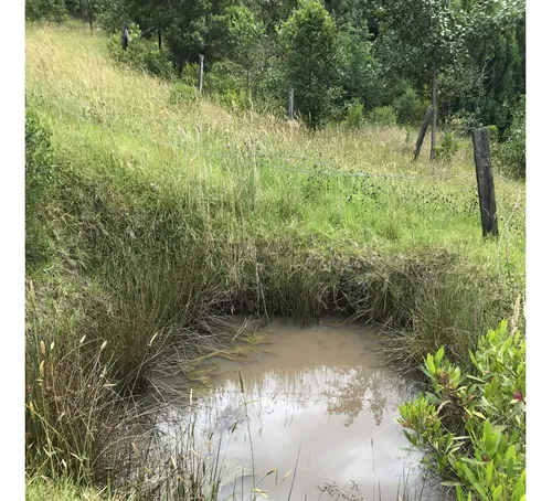 Magnífico Lote, Vereda Centro, Fúquene Cundinamarca