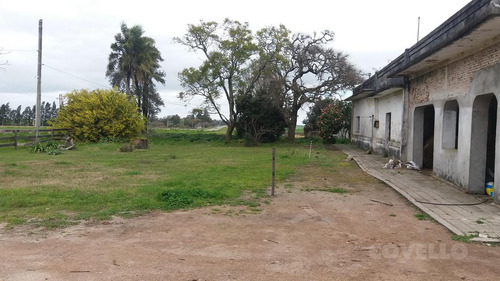 Oportunidad Única 7 Há En El Departamento De Colonia.