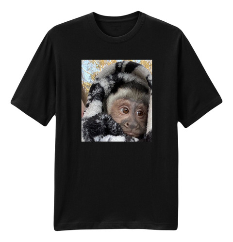 Playera Mono George Tapado T-shirt